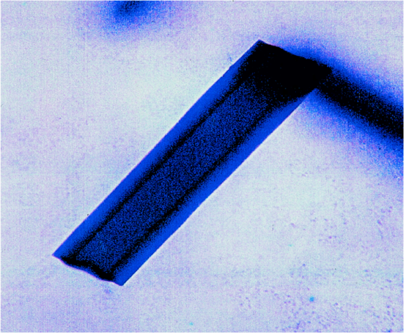 Crystal grown by the microbatch method in a 2µl drop under oil. The photograph shows the natural blue colour of the crystal. Crystal size: 100  ×  100  ×  500  µm. Courtesy of Prof Naomi Chayen. 
